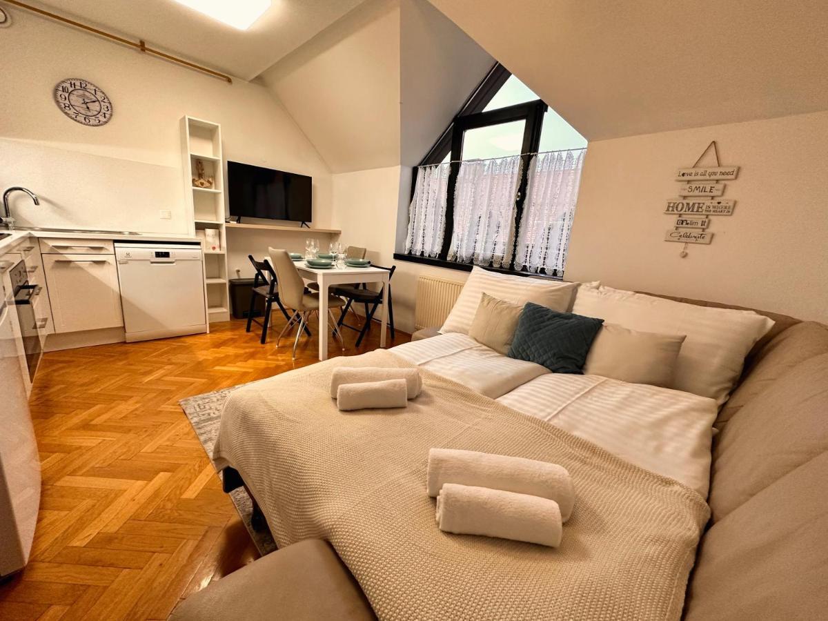Apartment Charming Loft Laibach